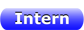 Intern